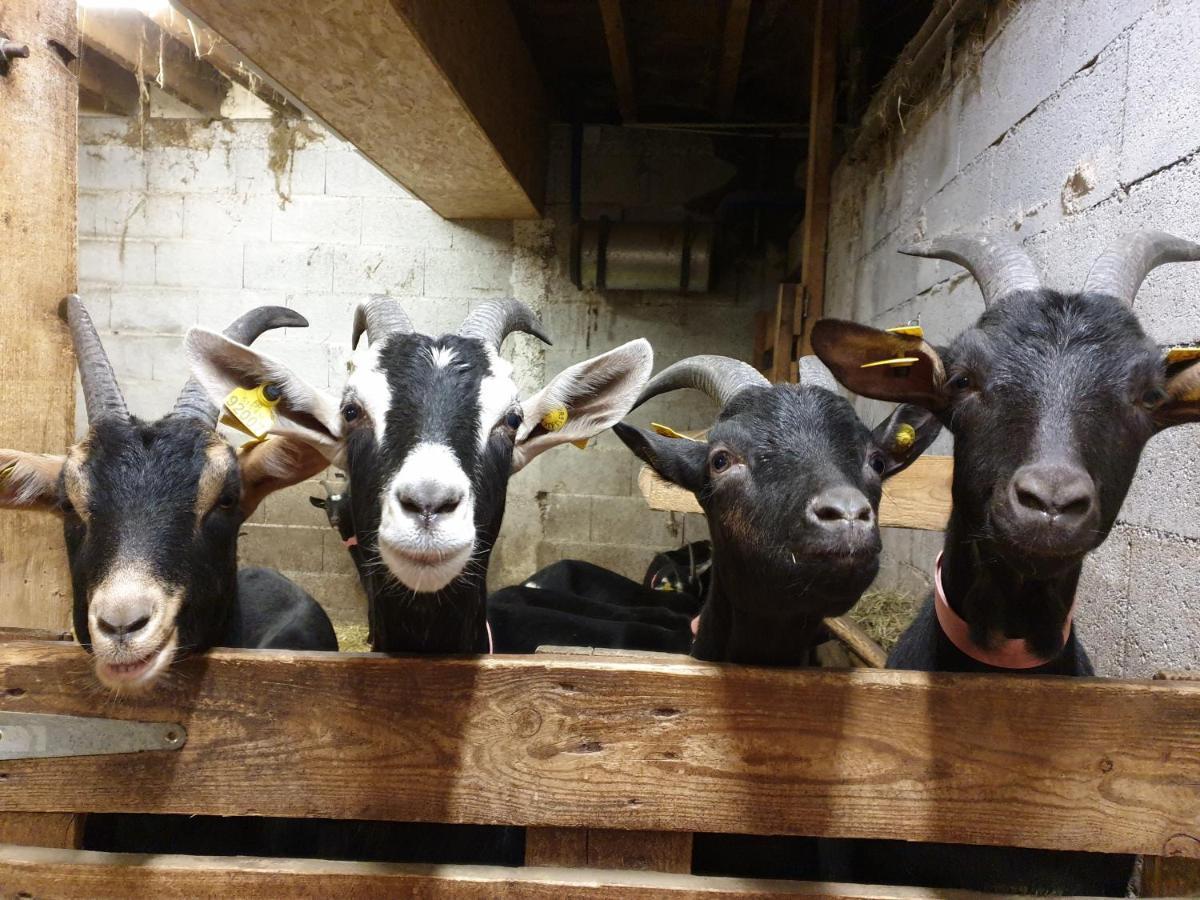 Chambre D'Hotes A La Ferme Beaune  外观 照片